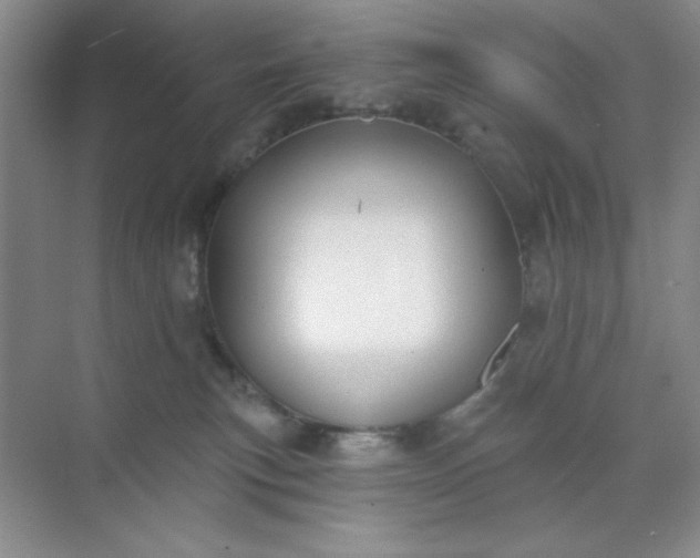 X0000071910183200607212052