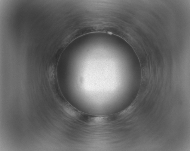 X0000071910184200607212052