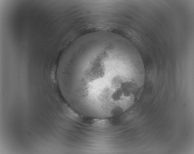 X0000071910185200607212052