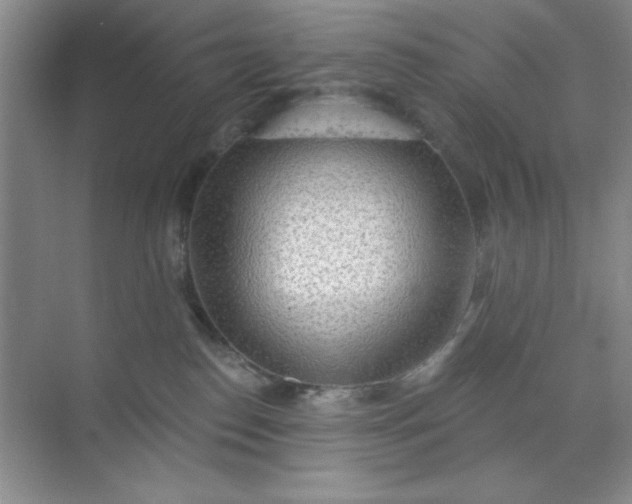 X0000071910186200607212052