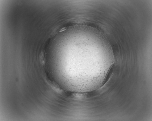 X0000071910187200607212052