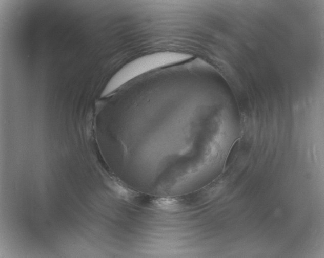 X0000071910189200607212052