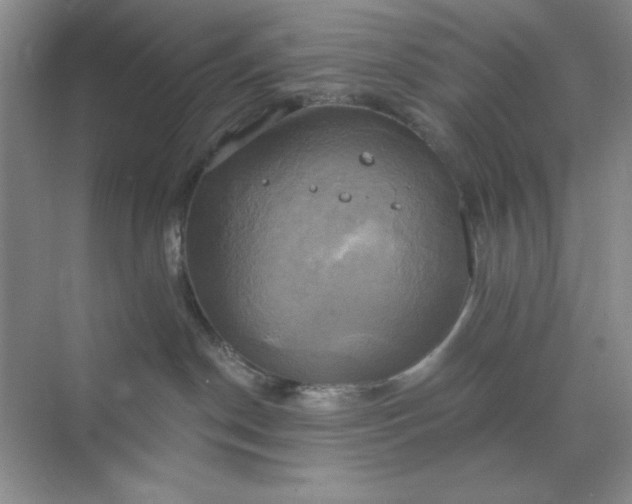 X0000071910190200607212052