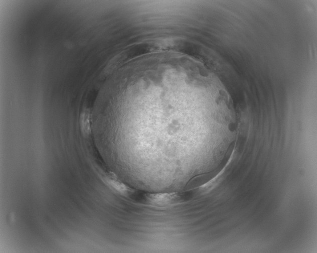 X0000071910191200607212052