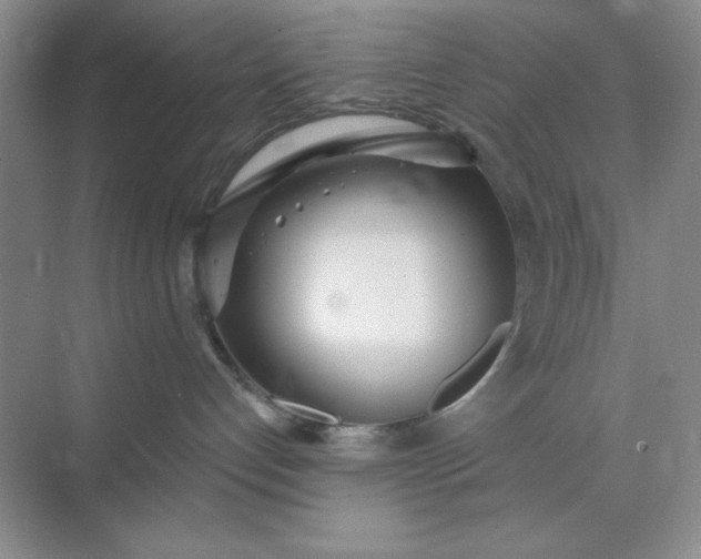 X0000071910192200607212052