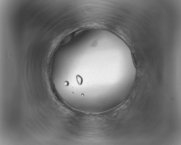 X0000071910193200607212051