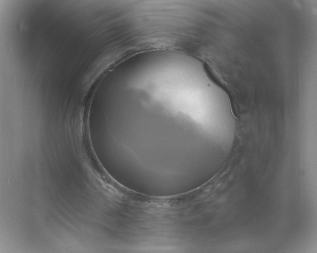 X0000071910194200607212051