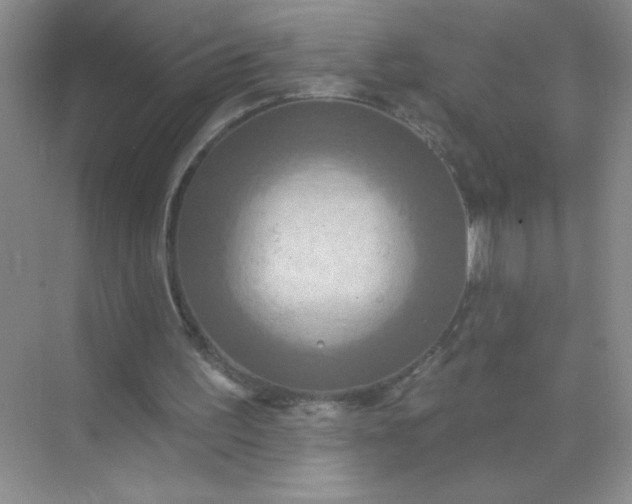 X0000071910195200607212051