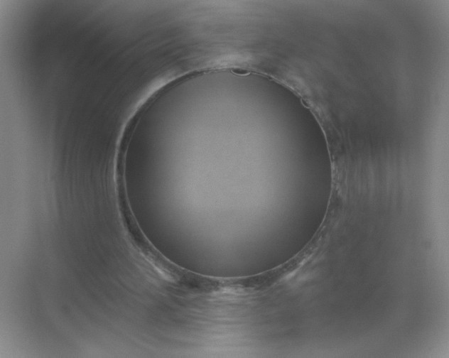 X0000071910196200607212051