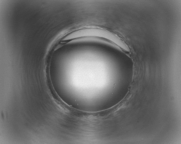 X0000071910197200607212051