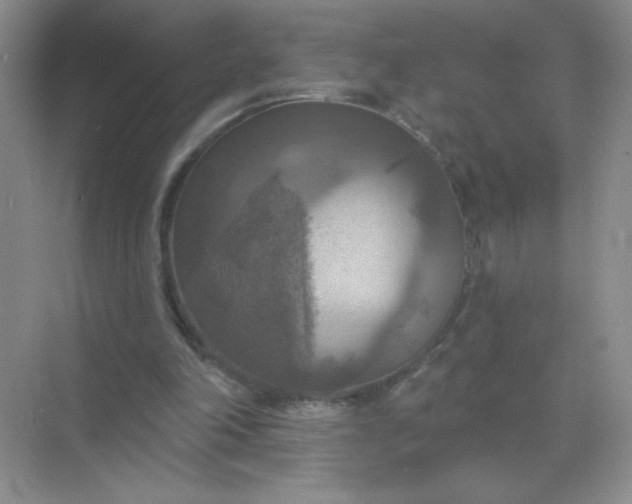 X0000071910198200607212051