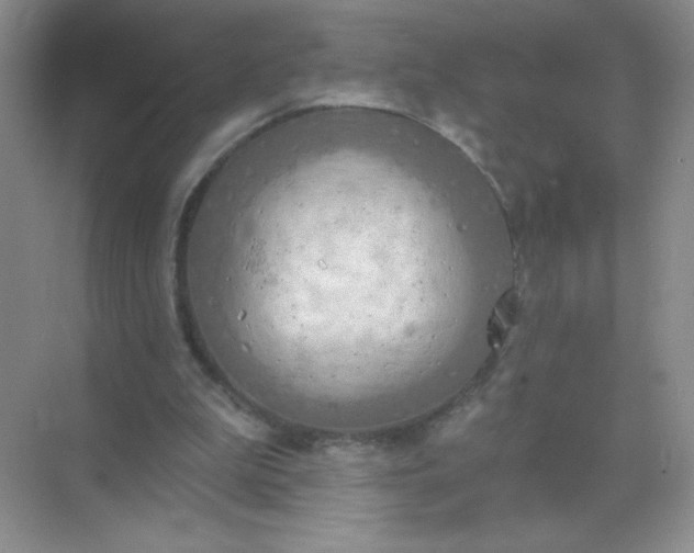 X0000071910199200607212051