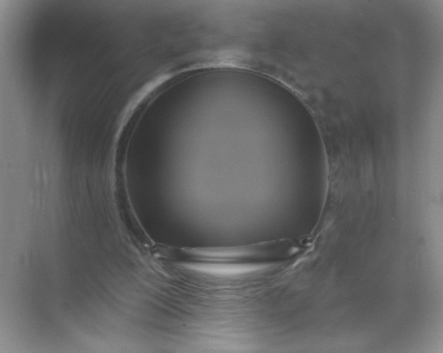 X0000071910200200607212051