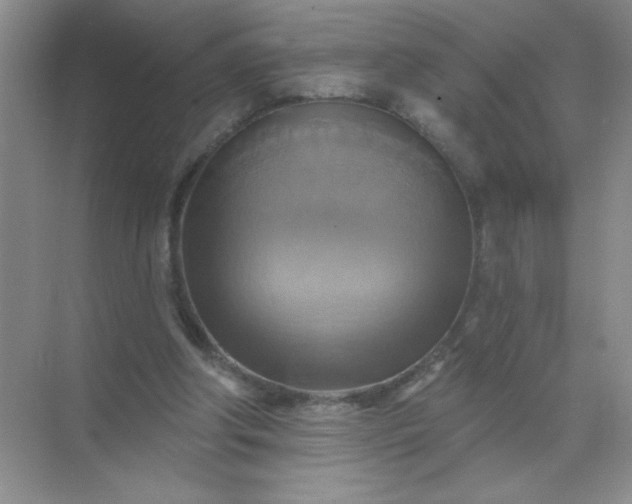 X0000071910202200607212051