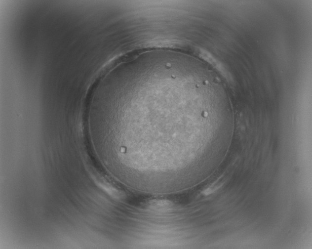 X0000071910203200607212051