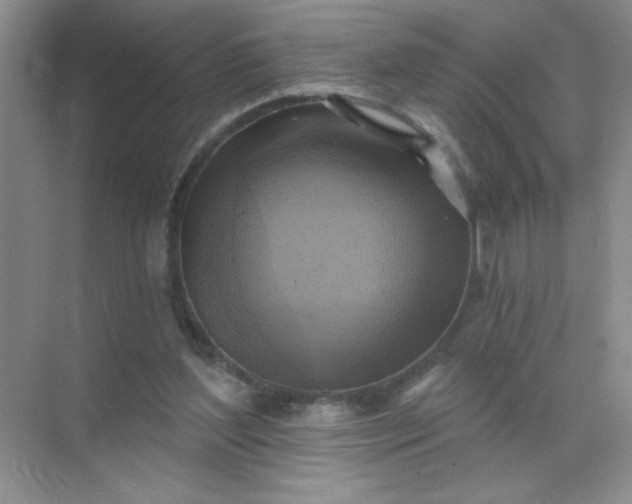 X0000071910204200607212051