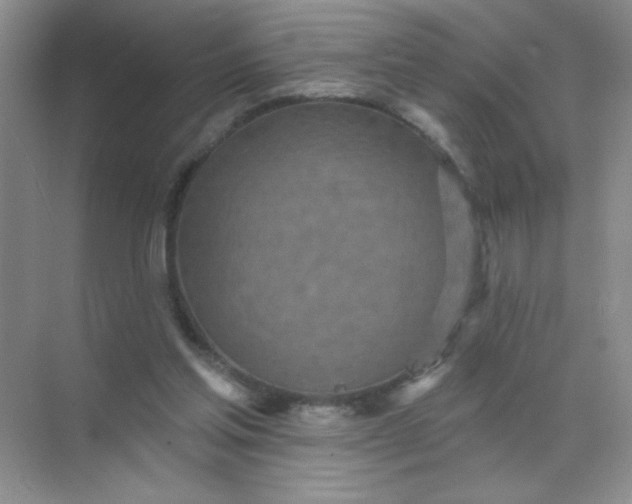 X0000071910205200607212051