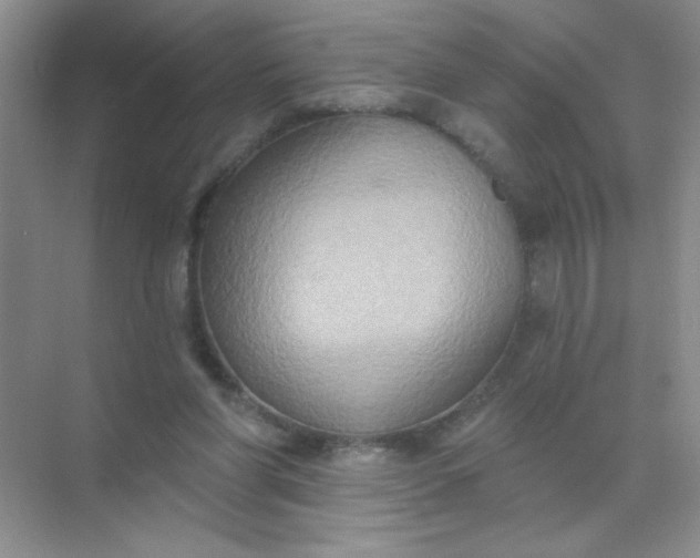 X0000071910206200607212051