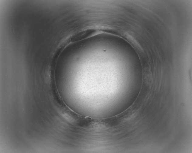 X0000071910207200607212051