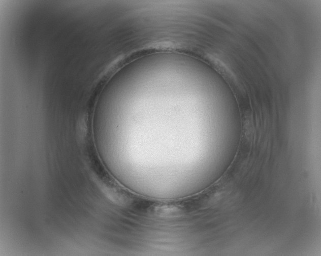 X0000071910208200607212051