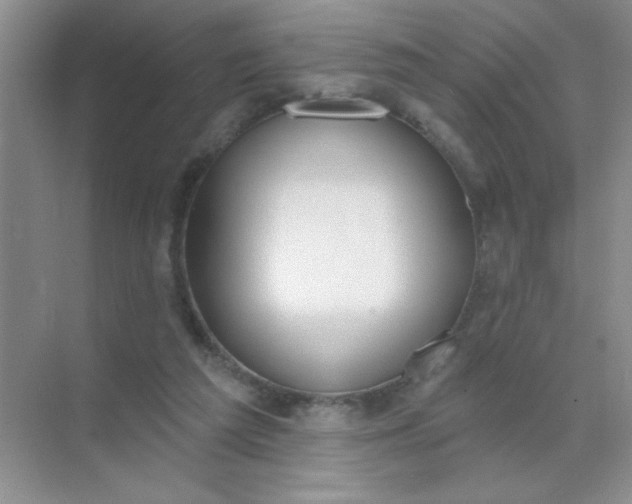 X0000071910209200607212051