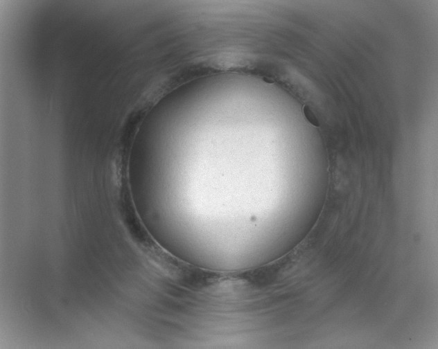 X0000071910210200607212051