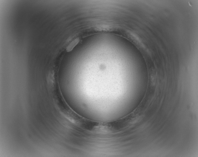 X0000071910211200607212051