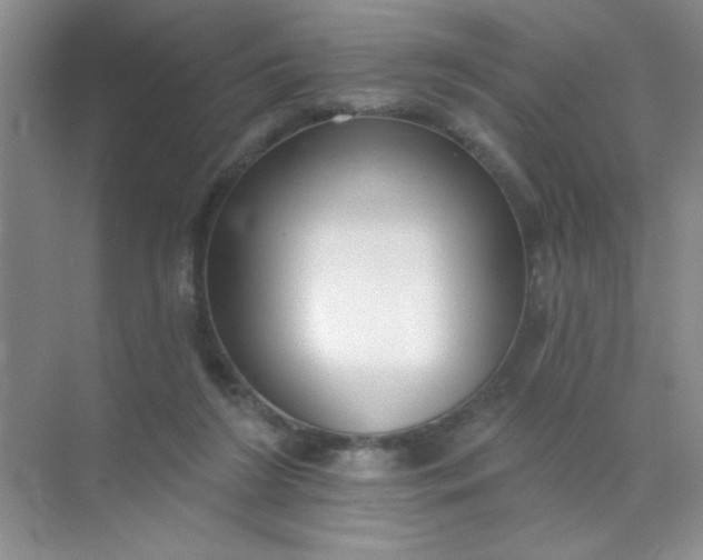 X0000071910212200607212051