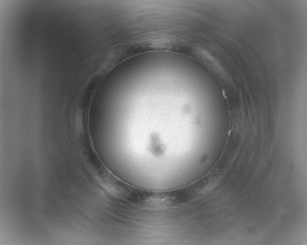 X0000071910213200607212051