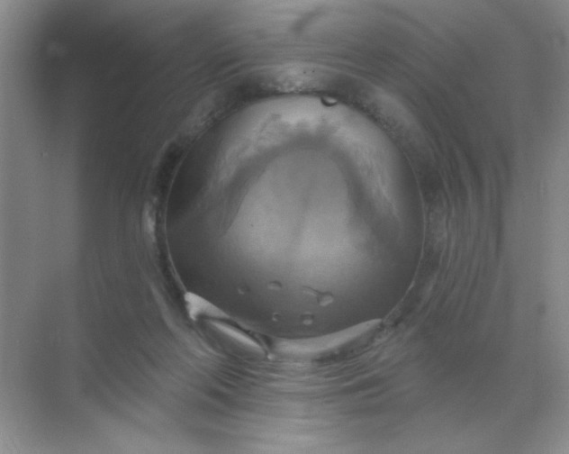 X0000071910214200607212051