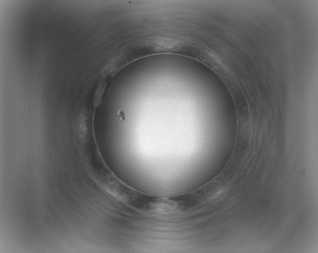 X0000071910215200607212051