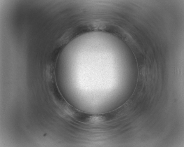 X0000071910218200607212051