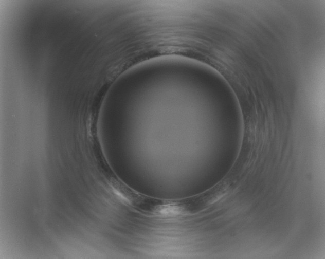 X0000071910219200607212050