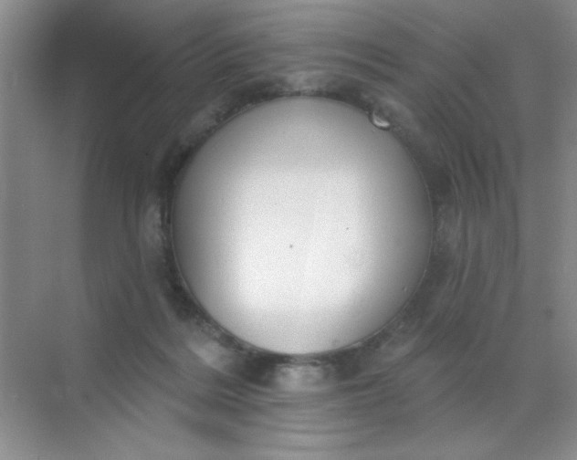 X0000071910220200607212050