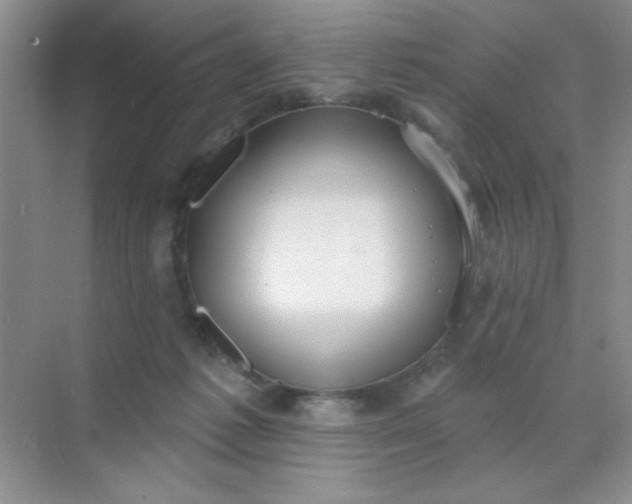 X0000071910221200607212050