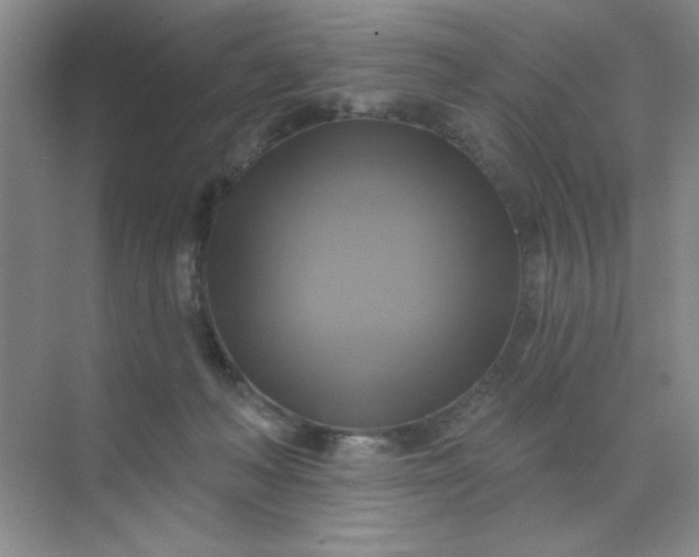 X0000071910222200607212050