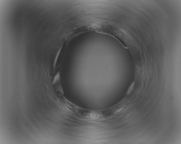 X0000071910223200607212050