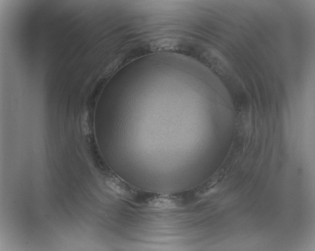 X0000071910224200607212050