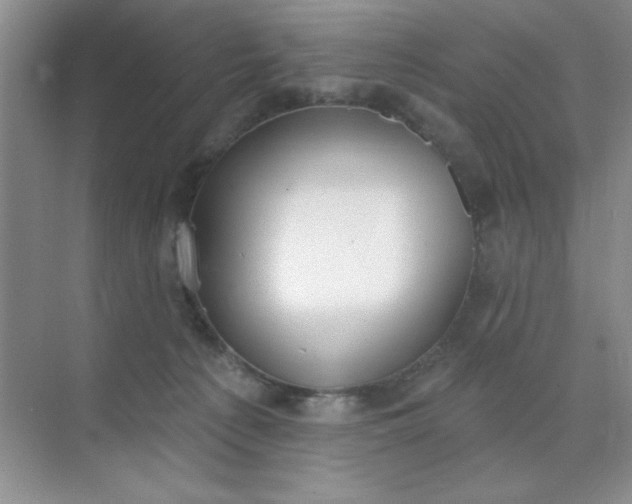 X0000071910225200607212050