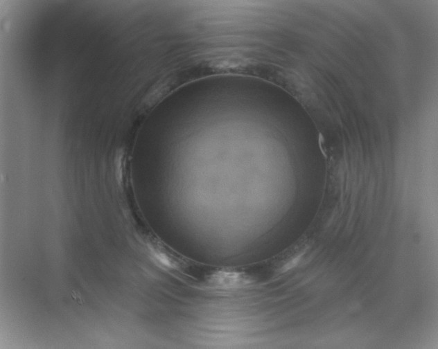 X0000071910227200607212050