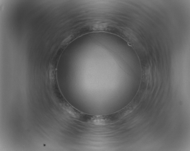 X0000071910228200607212050