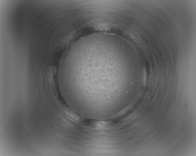 X0000071910229200607212050