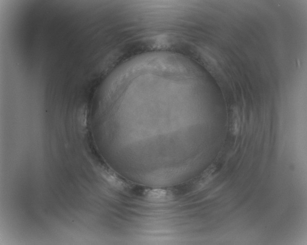 X0000071910230200607212050