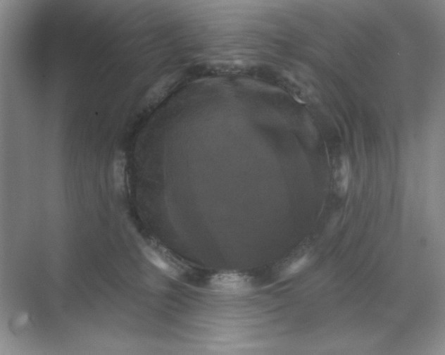 X0000071910231200607212050