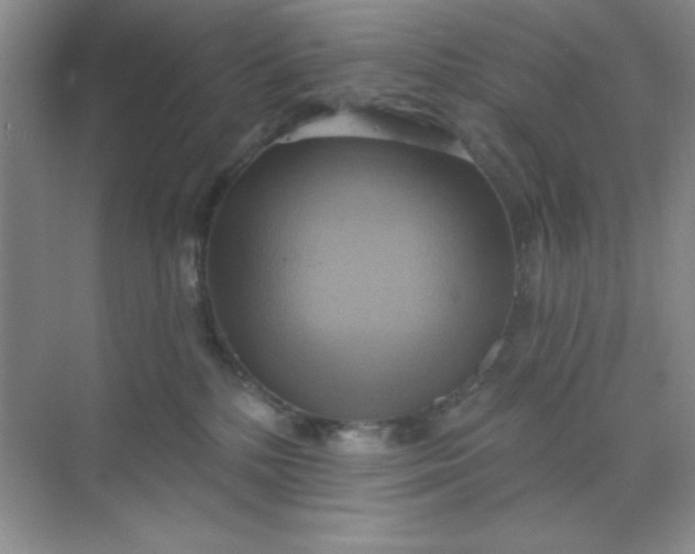 X0000071910232200607212050