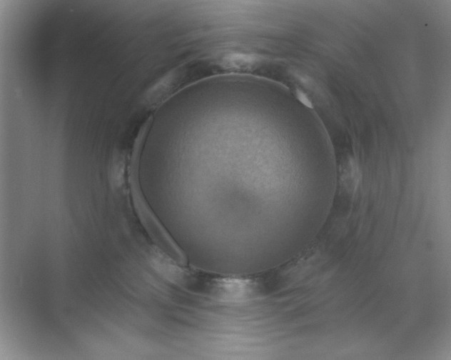 X0000071910233200607212050