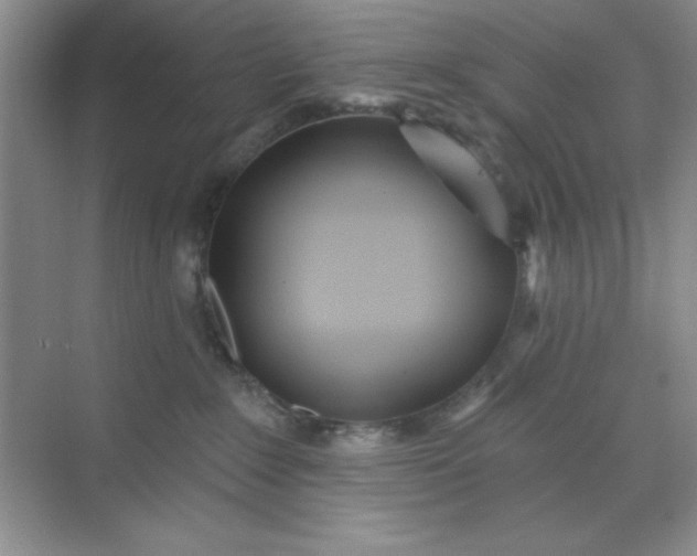 X0000071910235200607212050