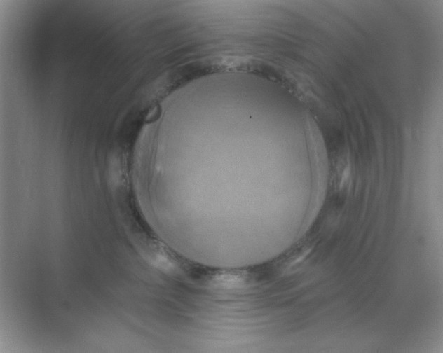 X0000071910236200607212050