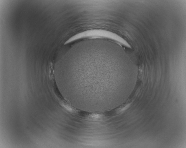 X0000071910237200607212050