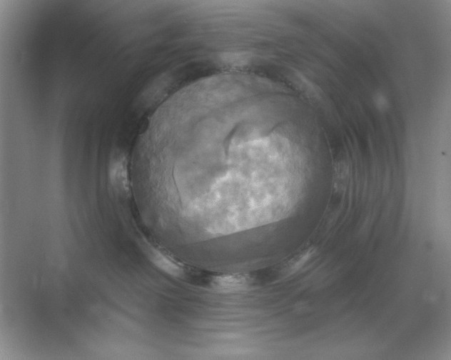 X0000071910238200607212050